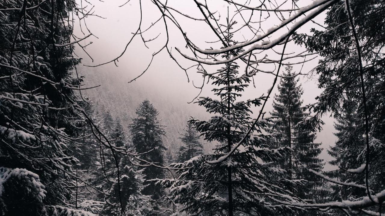 Wanderlust Panorama - Leben Im Nationalpark Daire Freudenstadt Dış mekan fotoğraf